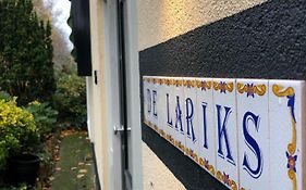 De Lariks